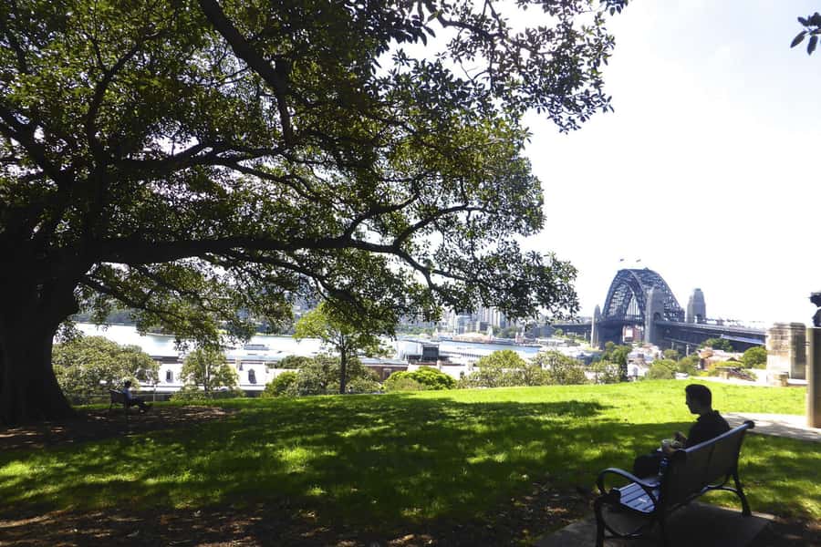 Sydney: Half-Day City Tour - Darlinghurst, Surry Hills, Chinatown, and Darling Harbour