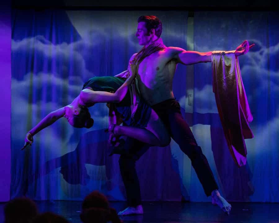 Sydney Harbour: Cabaret Cruise with 3-Course Dinner - Who should choose this cruise?