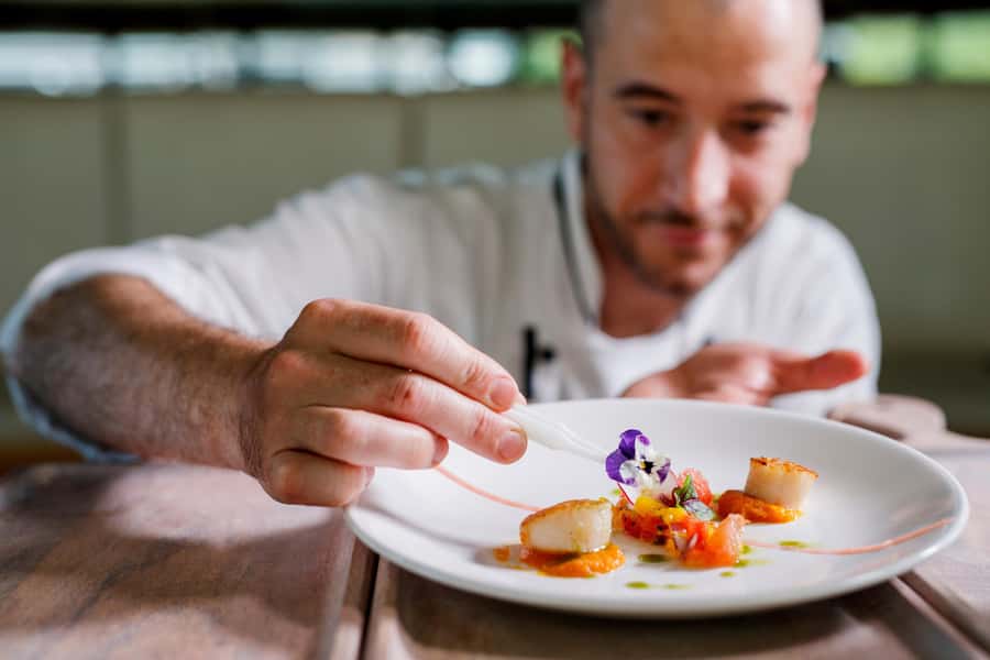Sydney: Harbour Dinner Cruise with 3, 4 or 6-Course Menu - Who will enjoy this cruise most