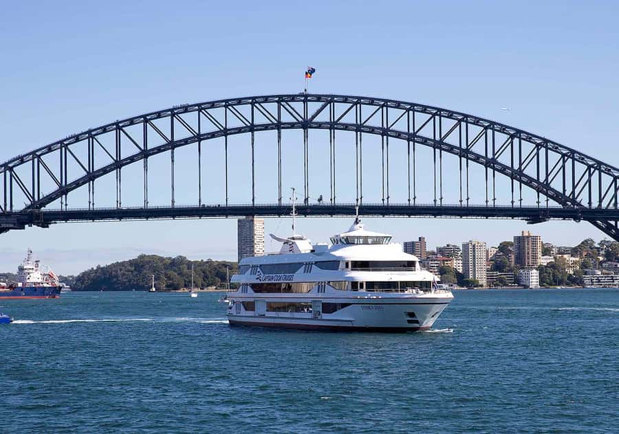 Sydney: Harbour Lunch Cruise with 2 or 3-Course Menu - Who will enjoy this lunch cruise most?