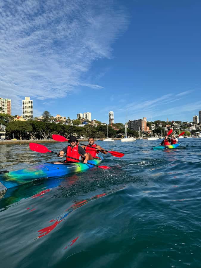 Sydney: Harbour Sunrise Kayak Tour - Starting at Rushcutters Bay before sunrise