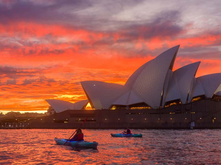 Sydney: Harbour Sunrise Kayak Tour - Practical advice for a smoother morning