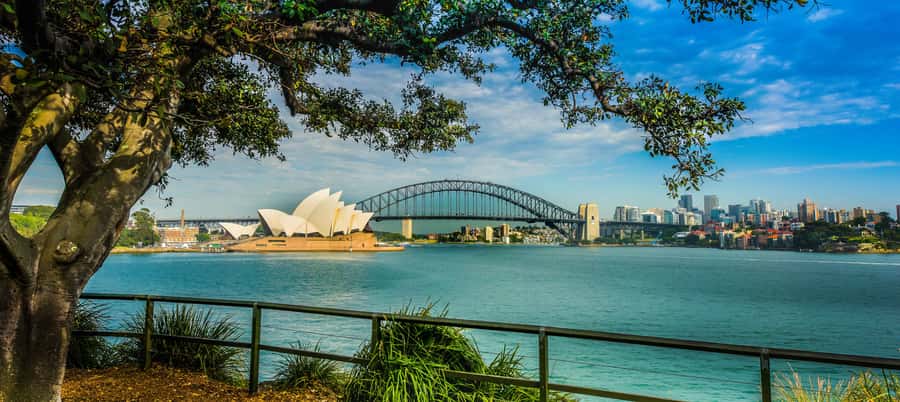 Sydney Harbour to Bondi: Small Group Half–Day Experience - Key points to know before booking