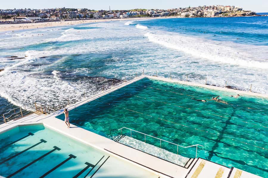 Sydney Harbour to Bondi: Small Group Half–Day Experience - Why this half-day route works