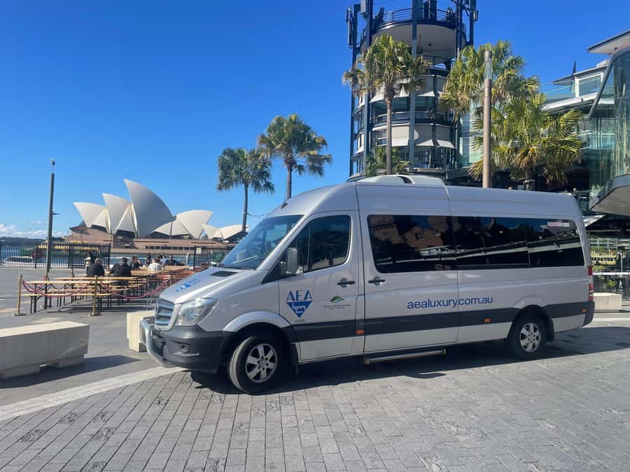 Sydney Harbour to Bondi: Small Group Half–Day Experience - Central Sydney shows the city at work