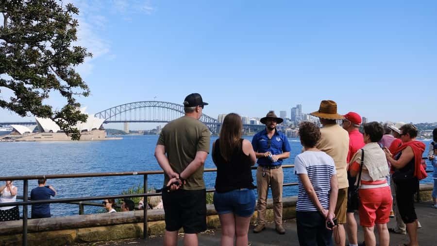 Sydney Harbour to Bondi: Small Group Half–Day Experience - Paddington brings terrace houses and boutique streets