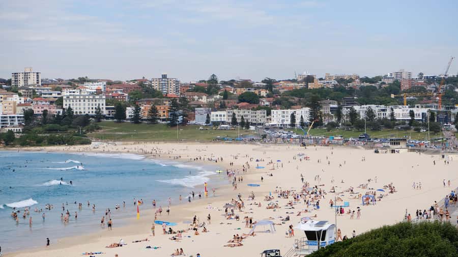 Sydney Harbour to Bondi: Small Group Half–Day Experience - Double Bay and Kings Cross complete the city portrait
