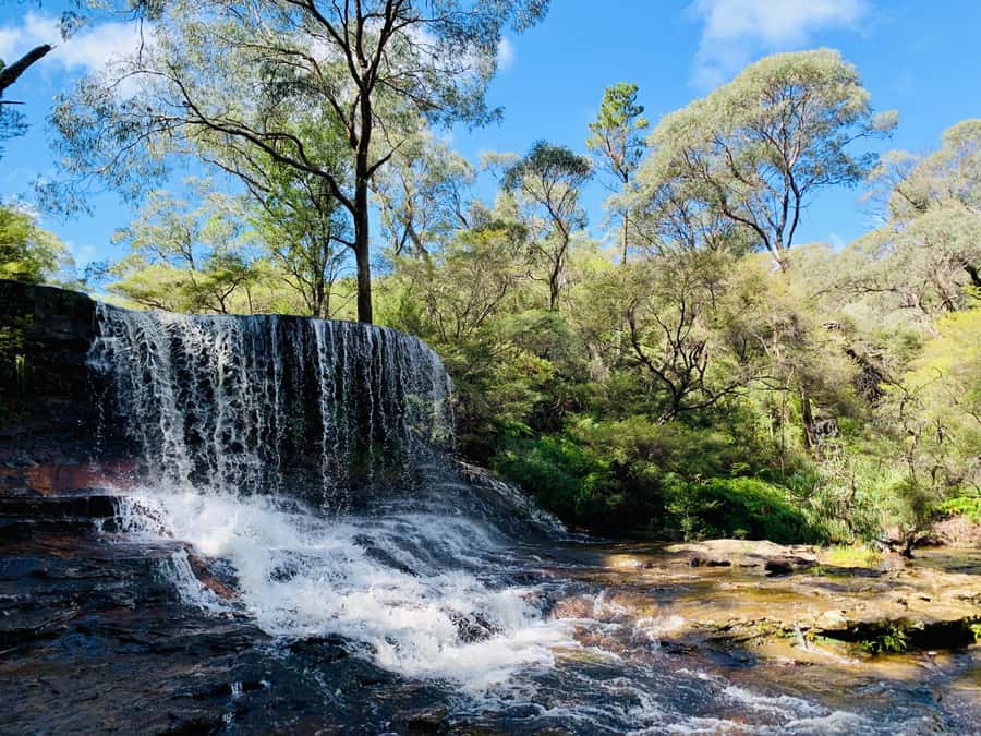Sydney: Luxury Blue Mountains Adventure with Wentworth Falls - Why this nine-hour trip works well