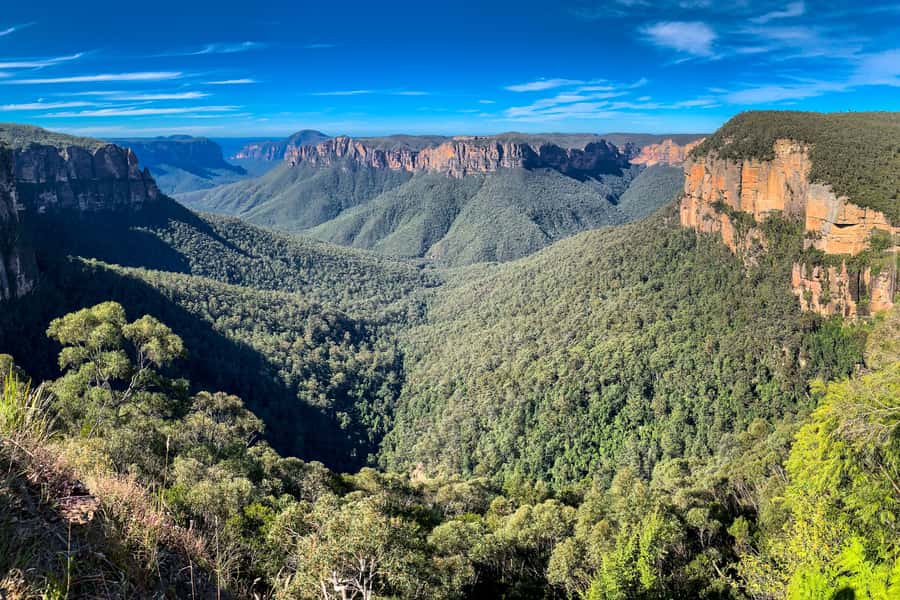 Sydney: Luxury Blue Mountains Adventure with Wentworth Falls - Featherdale Wildlife Park before the crowds
