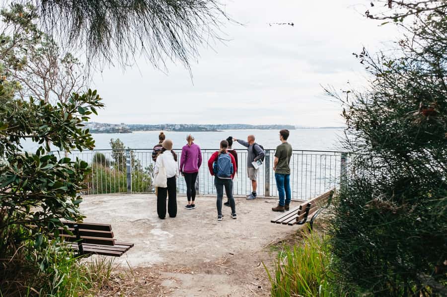 Sydney: Manly and Shelly Beach Snorkeling Tour - Key points to know before booking