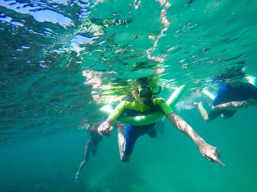 Sydney: Manly and Shelly Beach Snorkeling Tour - The safety briefing is not a formality