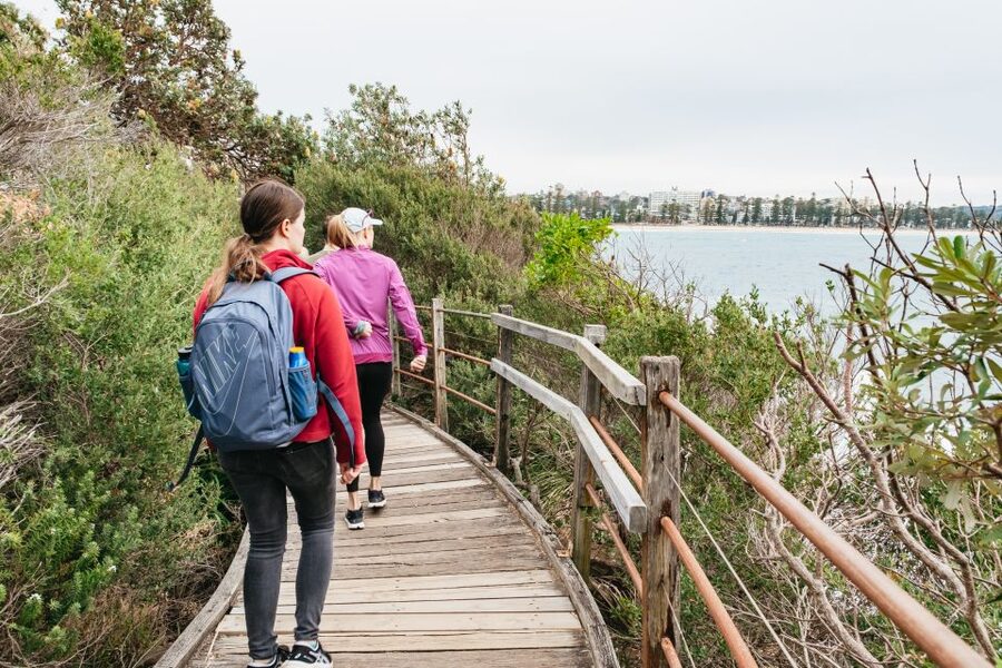 Sydney: Manly and Shelly Beach Snorkeling Tour - One hour among fish, rays, and rocky reef