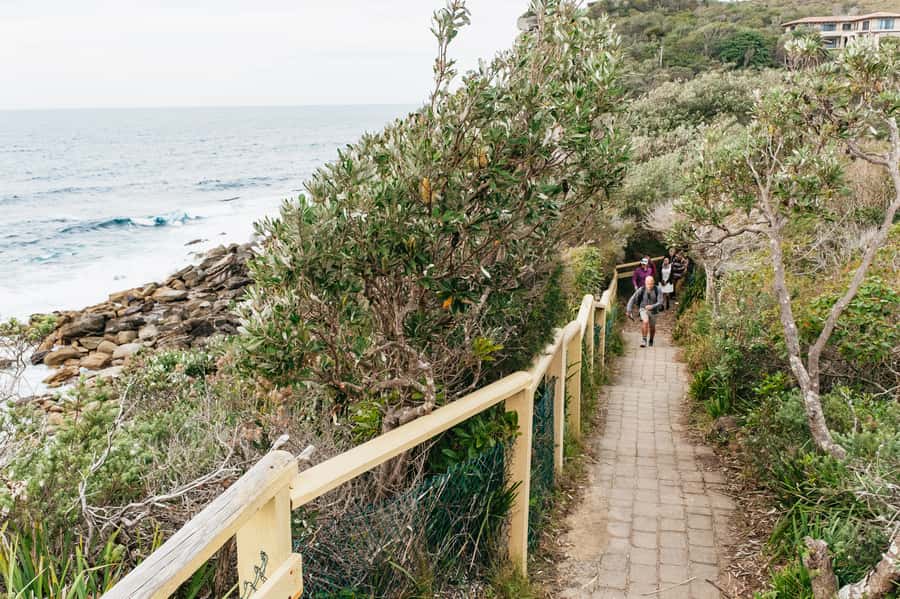 Sydney: Manly and Shelly Beach Snorkeling Tour - Small groups make the instruction more personal