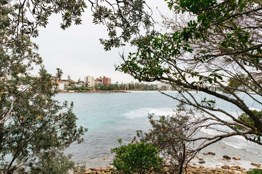 Sydney: Manly and Shelly Beach Snorkeling Tour - Weather and water conditions can shape the day