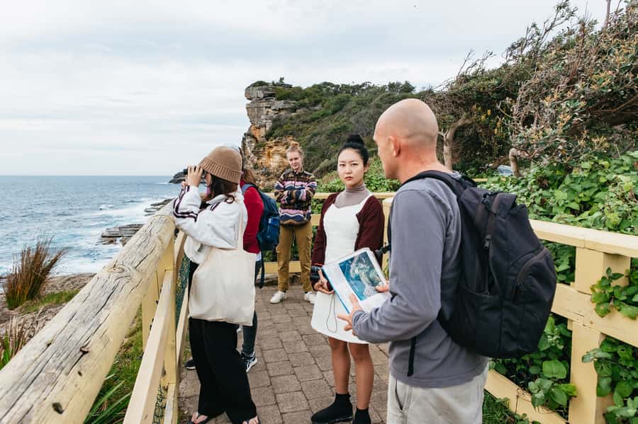 Sydney: Manly and Shelly Beach Snorkeling Tour - Who will get the most from this tour