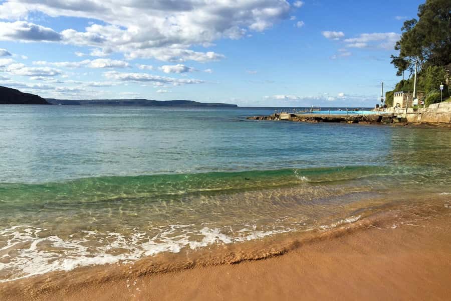 Sydney: Northern Beaches and Ku-ring-gai National Park Tour - Key points to know before booking