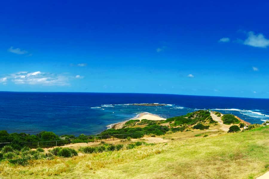 Sydney: Northern Beaches and Ku-ring-gai National Park Tour - Who should book this Northern Beaches tour?