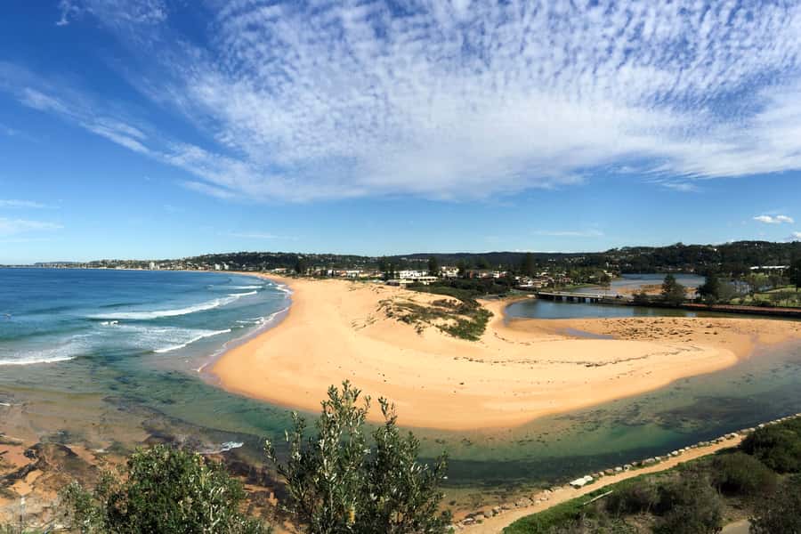 Sydney: Northern Beaches and Ku-ring-gai National Park Tour - Narrabeen, Long Reef, and Sydney’s surfing culture