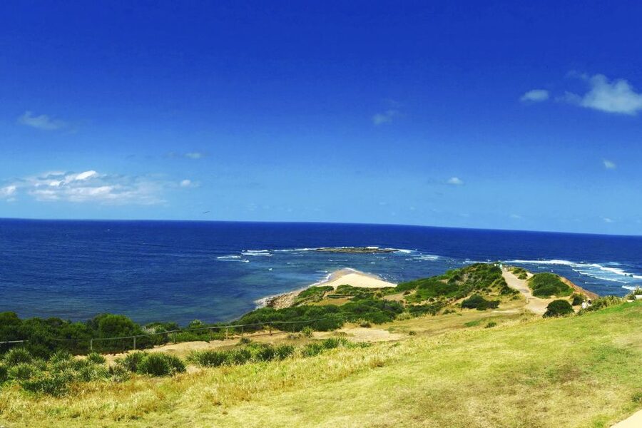 Sydney: Northern Beaches and Ku-ring-gai National Park Tour - The Curl Curl walk and Freshwater Beach