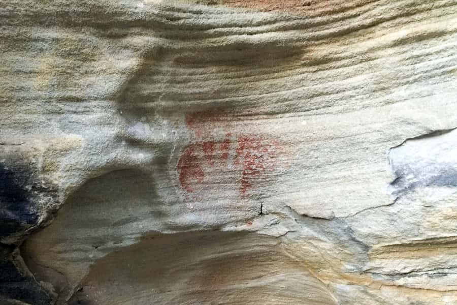 Sydney: Northern Beaches and Ku-ring-gai National Park Tour - The guides make the difference