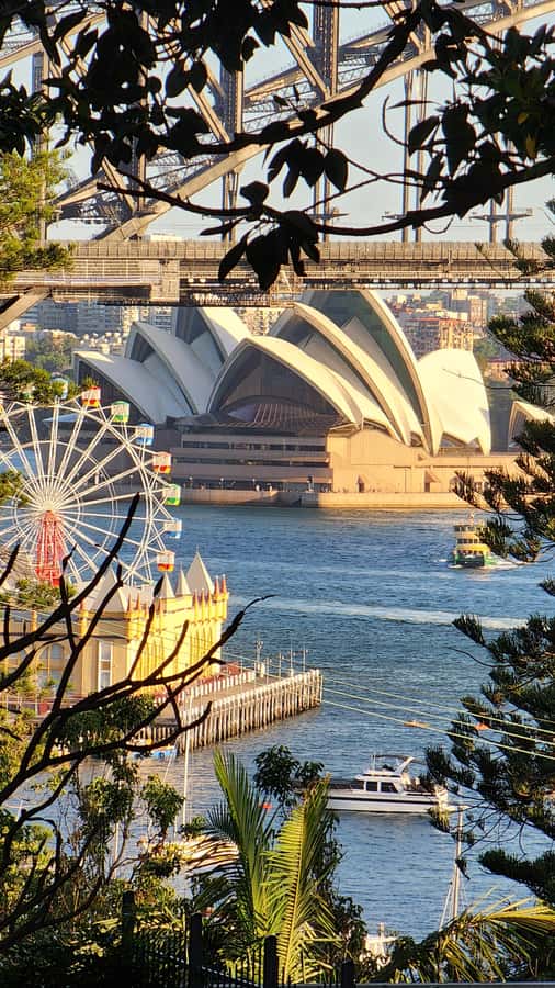 Sydney: Opera & Harbour Bridge Small-Group Kayak Tour - Lavender Bay to the Harbour Bridge