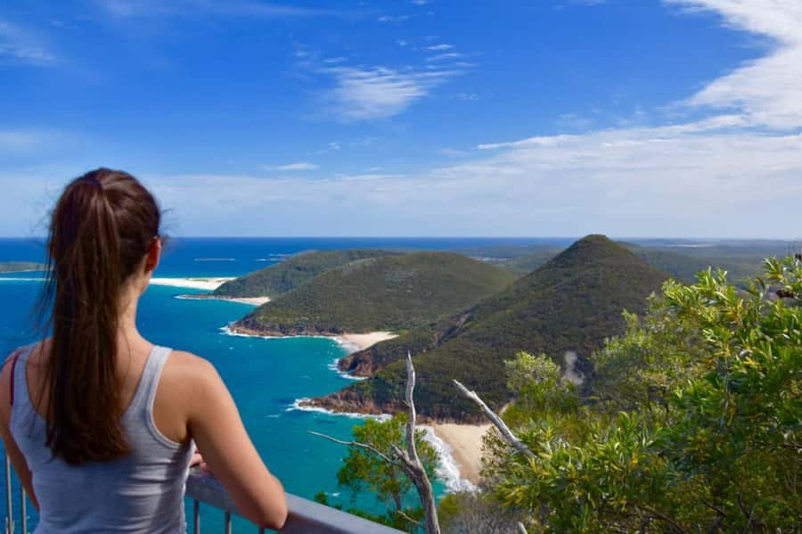 Sydney: Port Stephens Day Trip with Dolphin Cruise or Hike - Key points to know before booking