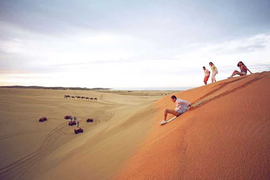Sydney: Port Stephens Dolphin Cruise & Sandboarding Day Trip - Lunch and the shift from sea to sanctuary