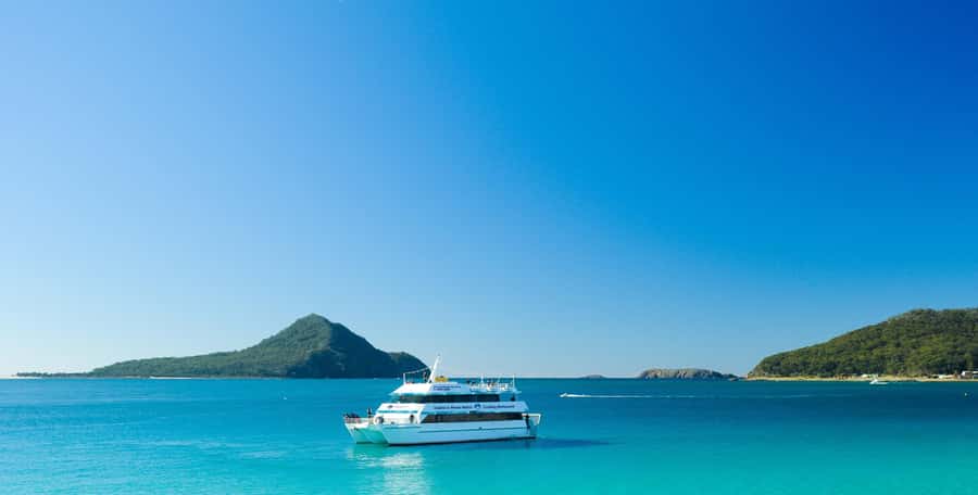 Sydney: Port Stephens Dolphin Cruise & Sandboarding Day Trip - Walking the PS Koala Sanctuary
