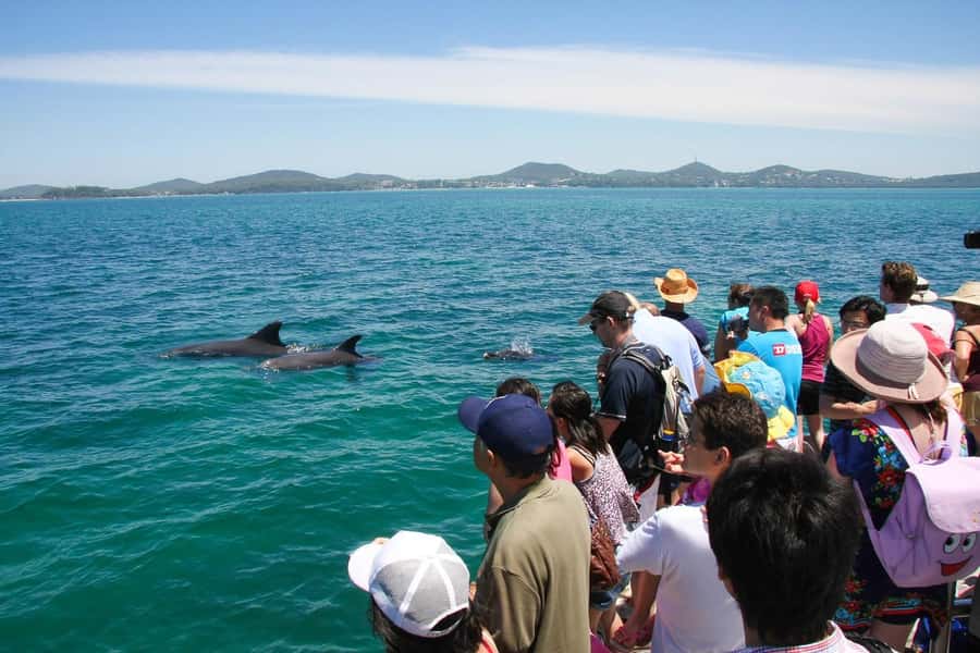 Sydney: Port Stephens Dolphin Cruise & Sandboarding Day Trip - What to pack and how to prepare