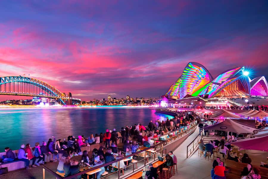 Sydney: Premium Catamaran Vivid Cruise with Welcome Drink - Key points to know before booking