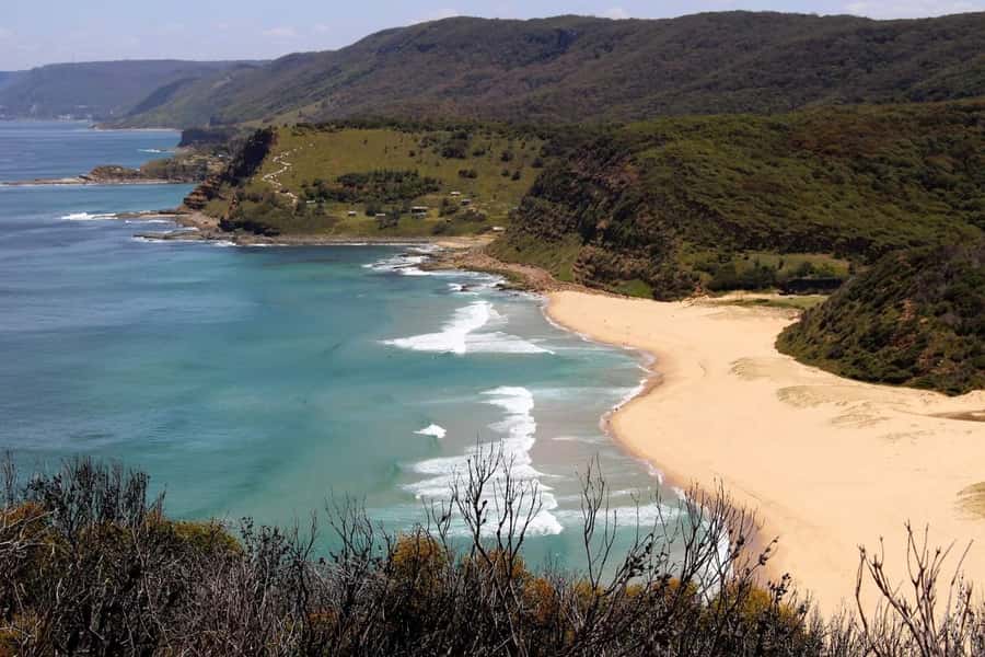 Sydney: Royal National Park private day tour - Key points to know before you book