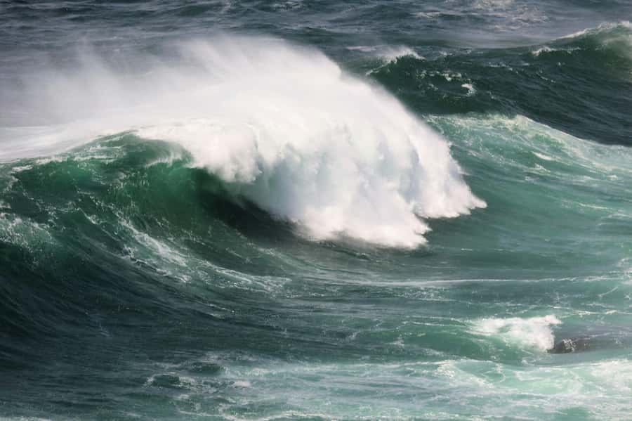 Sydney: Royal National Park private day tour - Sea Cliff Bridge is more than a quick photo stop