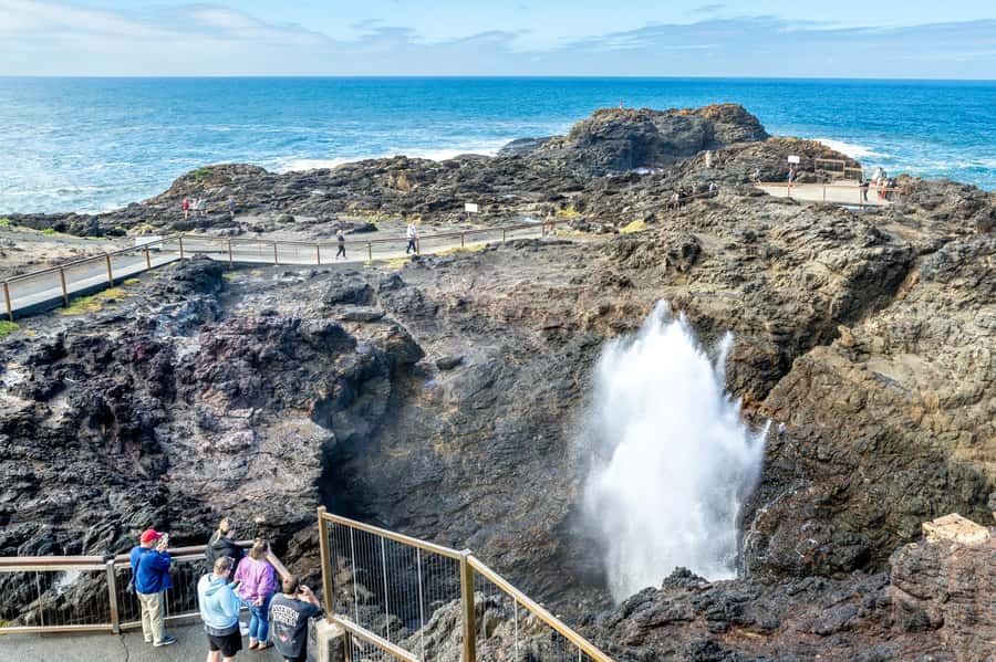 Sydney: Sea Cliff Bridge, Kiama Blowhole and Farmlands Tour - Why this South Coast day feels different from Sydney