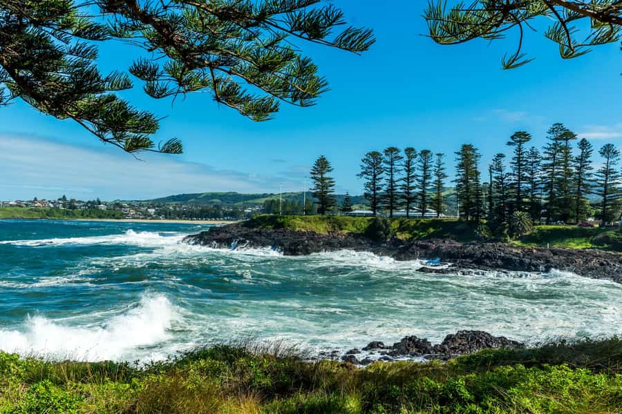 Sydney: Sea Cliff Bridge, Kiama Blowhole and Farmlands Tour - How much value do you get for $199?