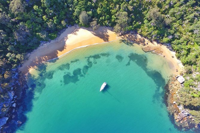 Sydney Secrets Lunch Cruise - Key points to know before booking