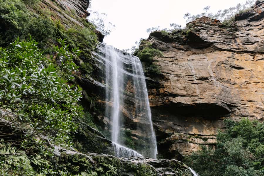 Sydney: Small Group Blue Mountains, Wildlife & Waterfalls - The drive into the Blue Mountains