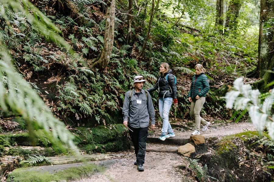 Sydney: Small Group Blue Mountains, Wildlife & Waterfalls - Featherdale Wildlife Park before the crowds
