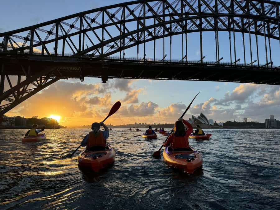 Sydney: Sunrise Kayak, Opera House & Under Harbour Bridge - Breakfast at Flying Bear café