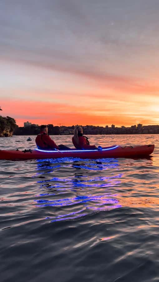 Sydney: Sunrise Kayak, Opera House & Under Harbour Bridge - Who will enjoy this kayak tour most?