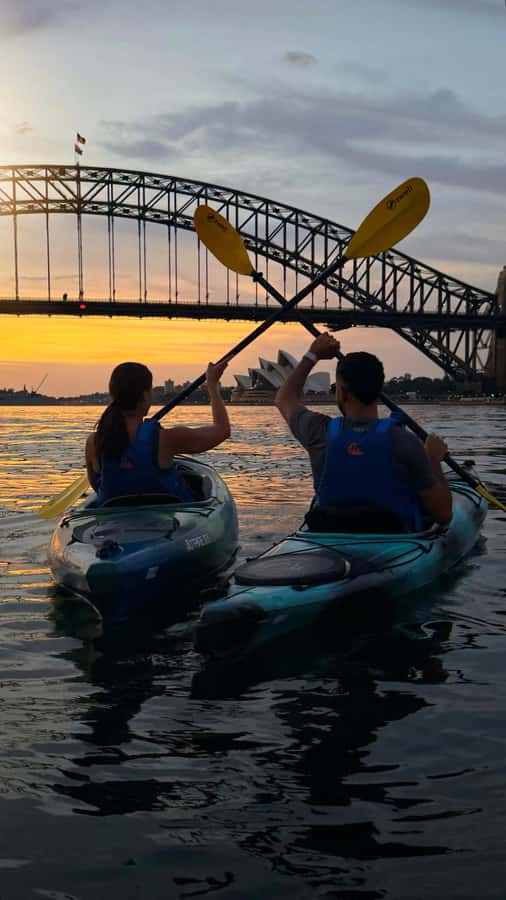 Sydney Sunrise Kayak Tour on Sydney Harbour - Key points to know before you book