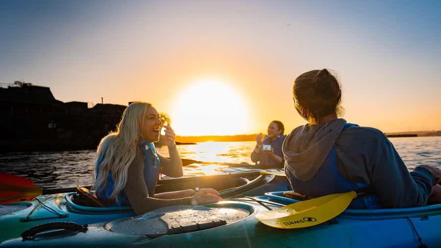 Sydney Sunrise Kayak Tour on Sydney Harbour - Who should book this tour?