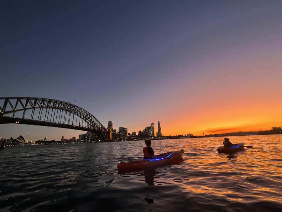 Sydney: Sunset Kayak Tour on Sydney Harbour - Key points to know before booking