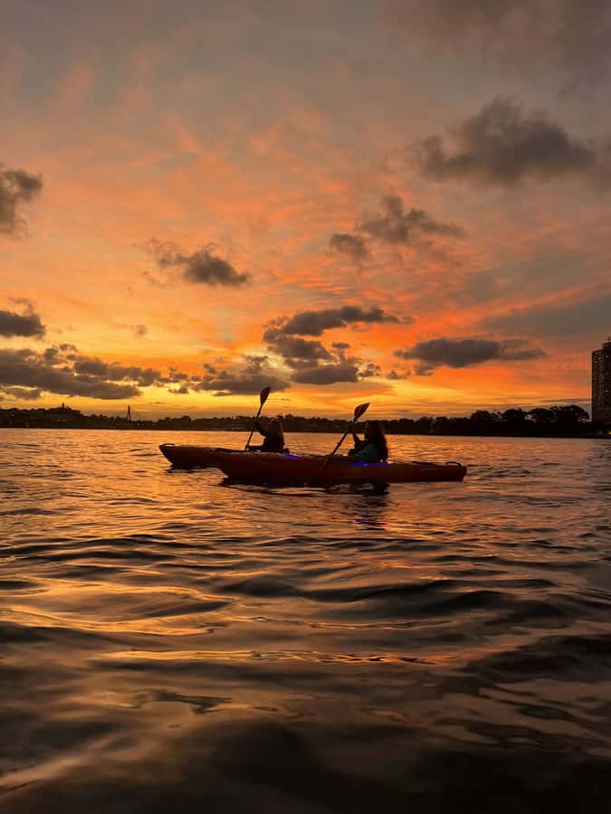 Sydney: Sunset Kayak Tour on Sydney Harbour - Who will enjoy this tour most