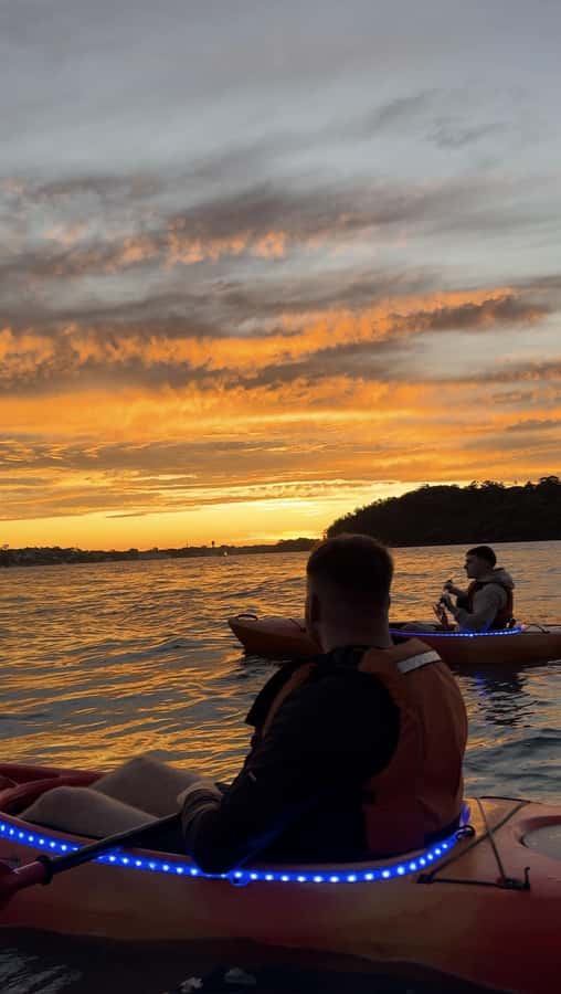 Sydney: Sunset Kayak Tour on Sydney Harbour - Practical details that make the evening easier