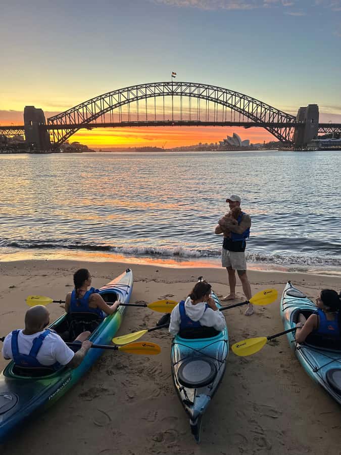 Sydney: Sunset Kayak Tour with Opera House Views - Why Sydney Harbour looks better from a kayak