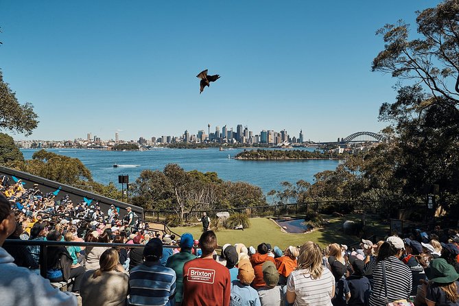 Sydney Taronga Zoo General Entry Ticket - The hillside setting is beautiful, but expect work