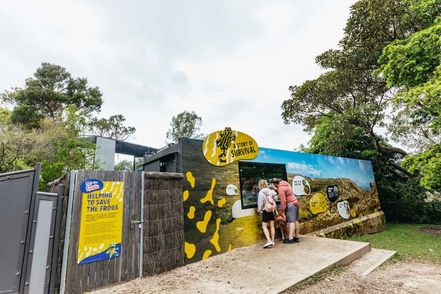 Sydney: Taronga Zoo Tickets - Food, rest stops, and the real cost of the day
