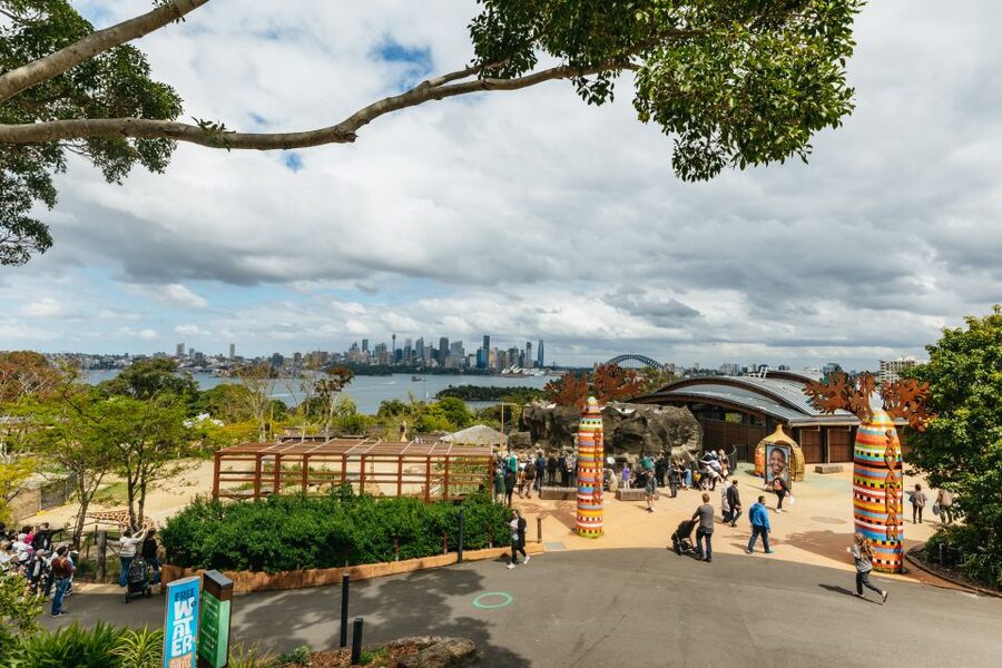 Sydney: Taronga Zoo Tickets - How much time should you allow?