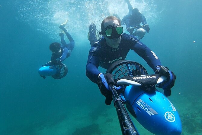 sydney underwater scooter tours - Key points to know before booking