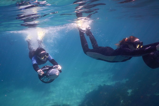sydney underwater scooter tours - Starting at Clovelly Surf Club